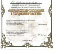 Демченко Елена - сертификат 13