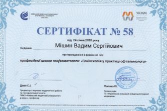 Мишин Вадим Сергеевич сертификат
