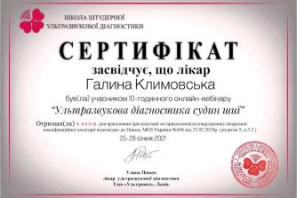 Сертифікат Галина Климовська