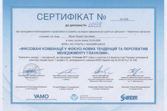 Сертифікат Мішин Вадим