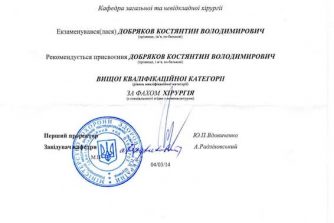 Добряков Константин сертификат