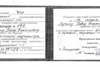 Лузан Павло сертификат