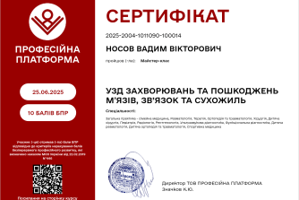 Носов Вадим Вікторович