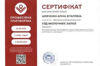 Шевченко Аліна Віталіївна