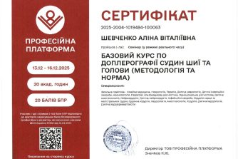 Шевченко Аліна Віталіївна